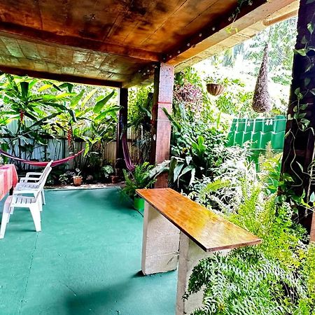 Natural Experience House Тортугеро Екстериор снимка