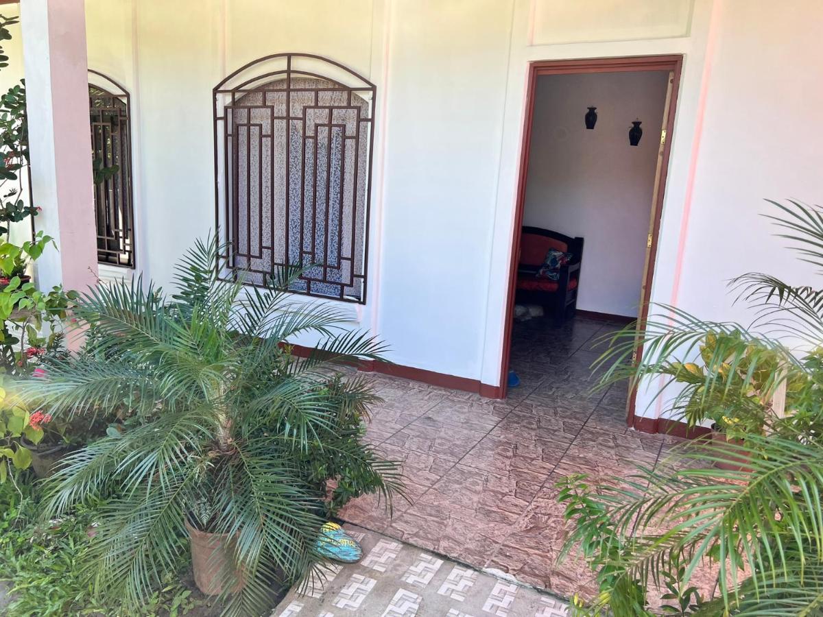 Natural Experience House Тортугеро Екстериор снимка