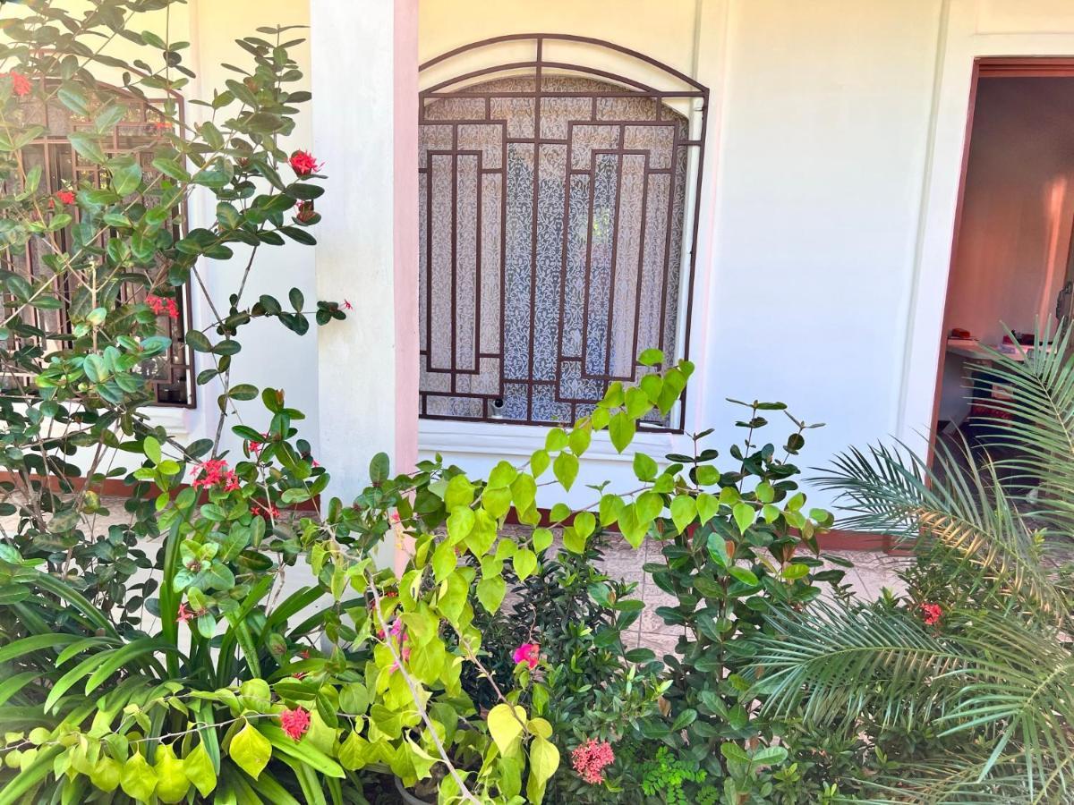 Natural Experience House Тортугеро Екстериор снимка