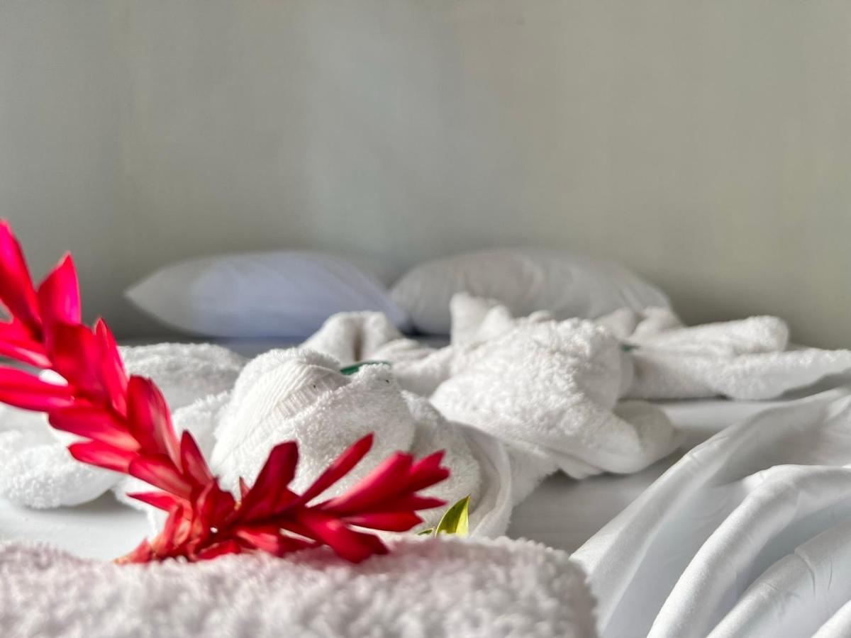 Natural Experience House Тортугеро Екстериор снимка