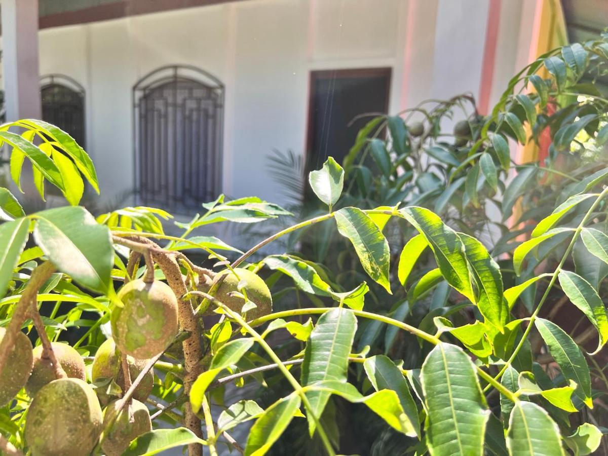 Natural Experience House Тортугеро Екстериор снимка