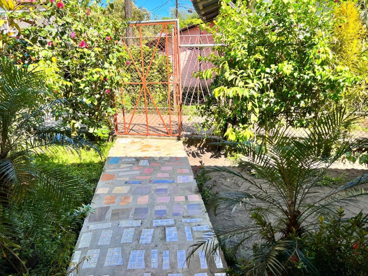Natural Experience House Тортугеро Екстериор снимка