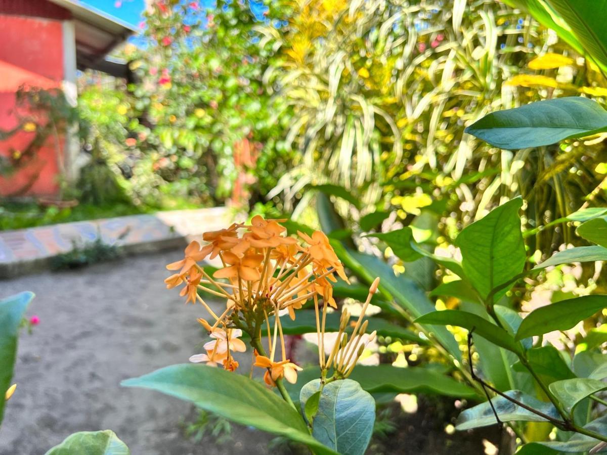 Natural Experience House Тортугеро Екстериор снимка