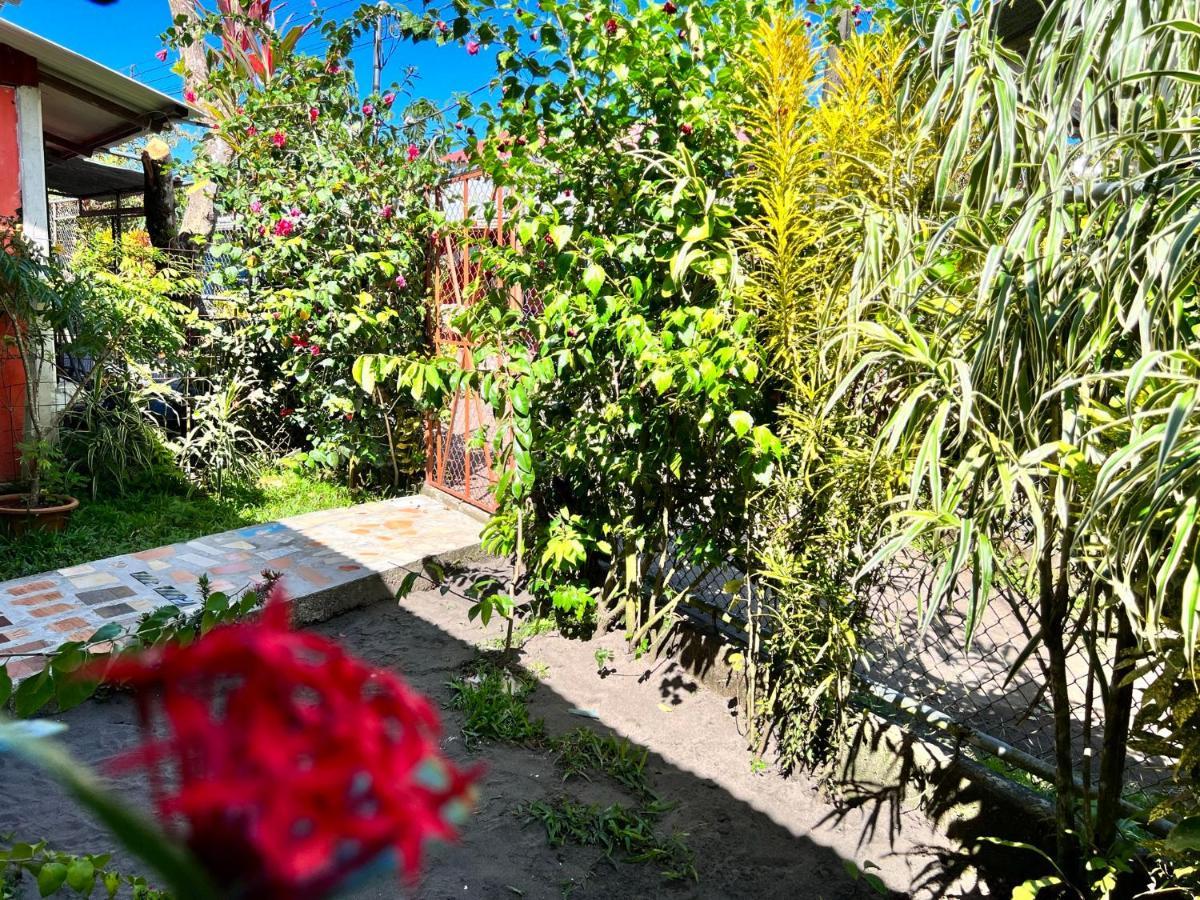 Natural Experience House Тортугеро Екстериор снимка