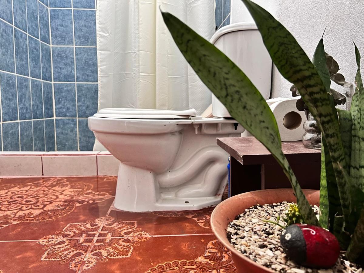 Natural Experience House Тортугеро Екстериор снимка
