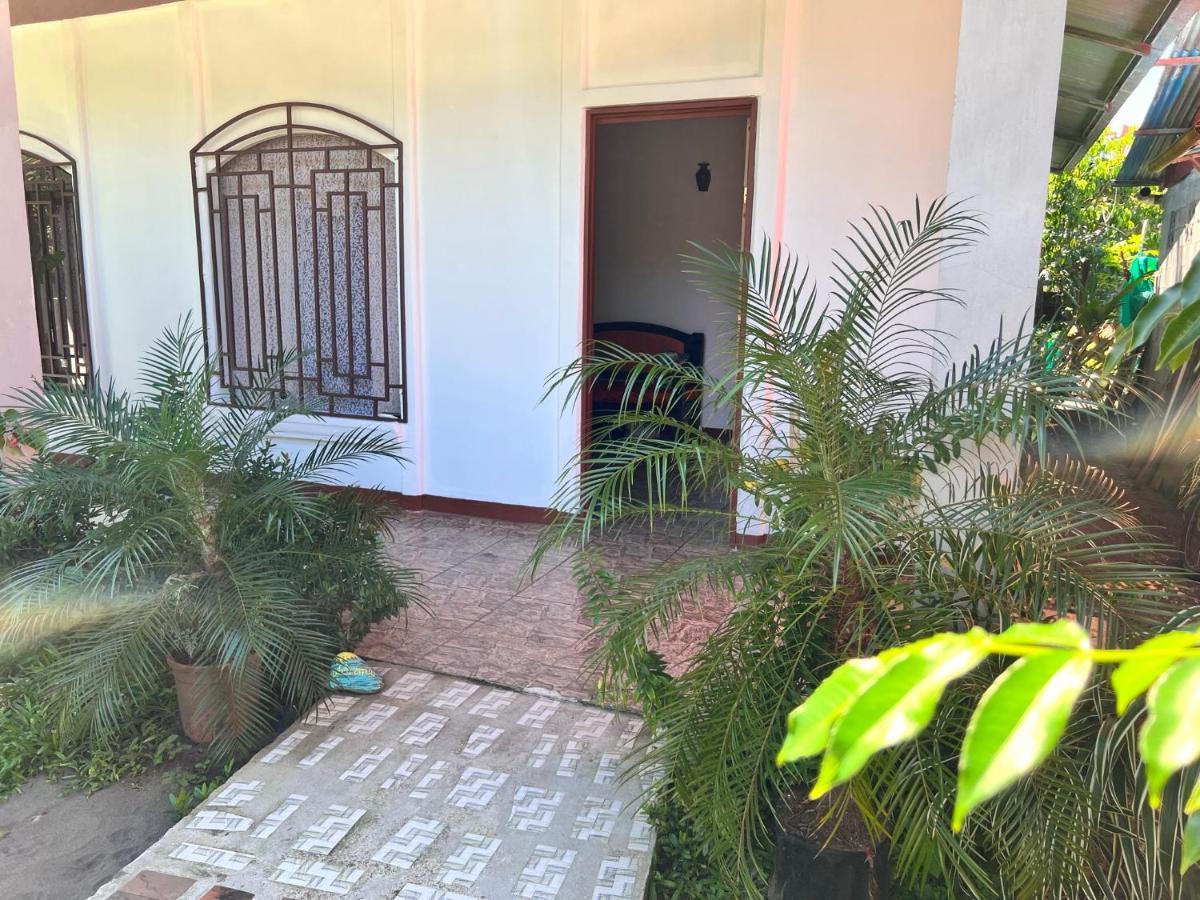Natural Experience House Тортугеро Екстериор снимка